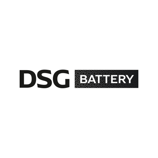 dsg label battery 2