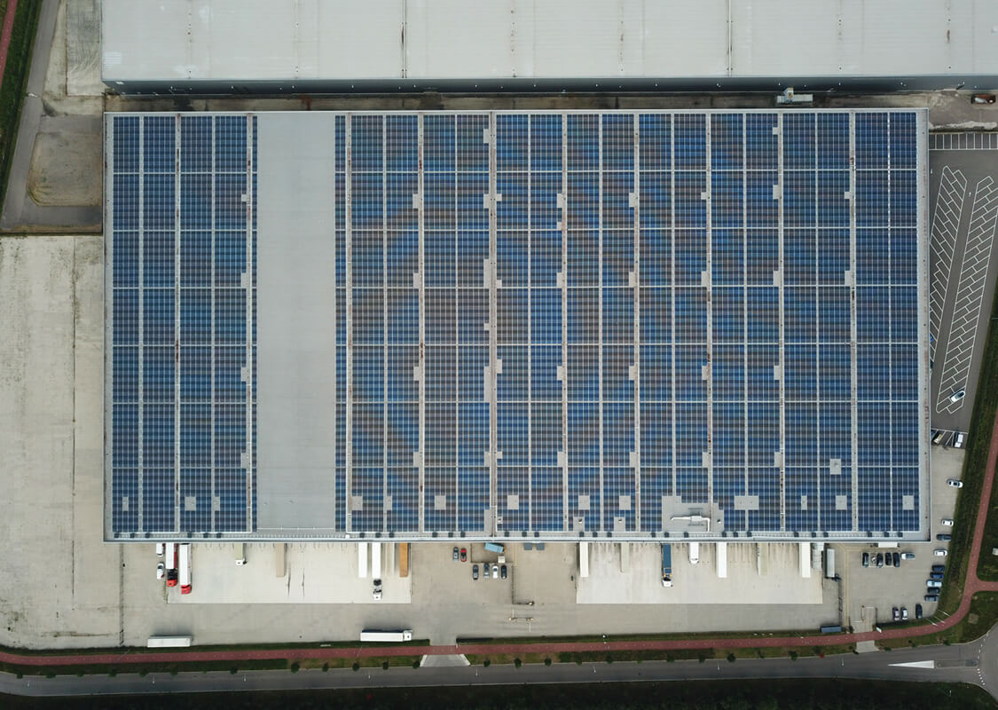 dsg project ceva bell 01