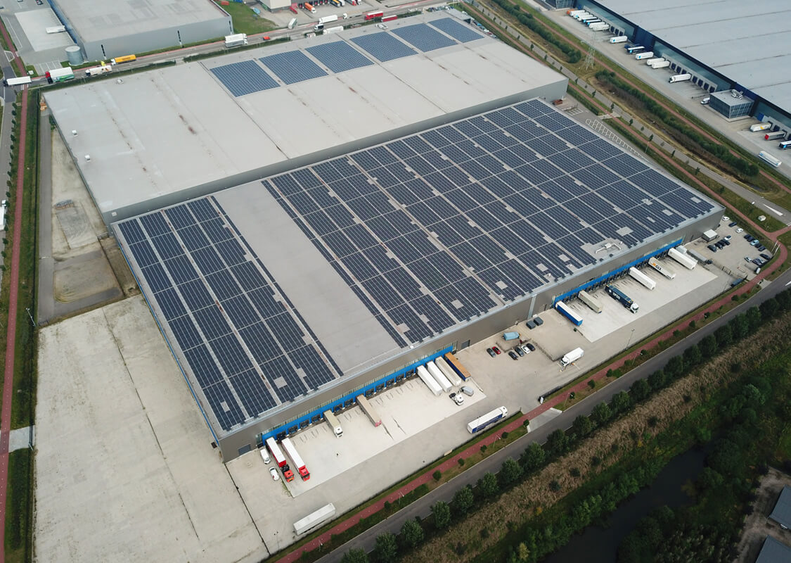 dsg project ceva bell 02