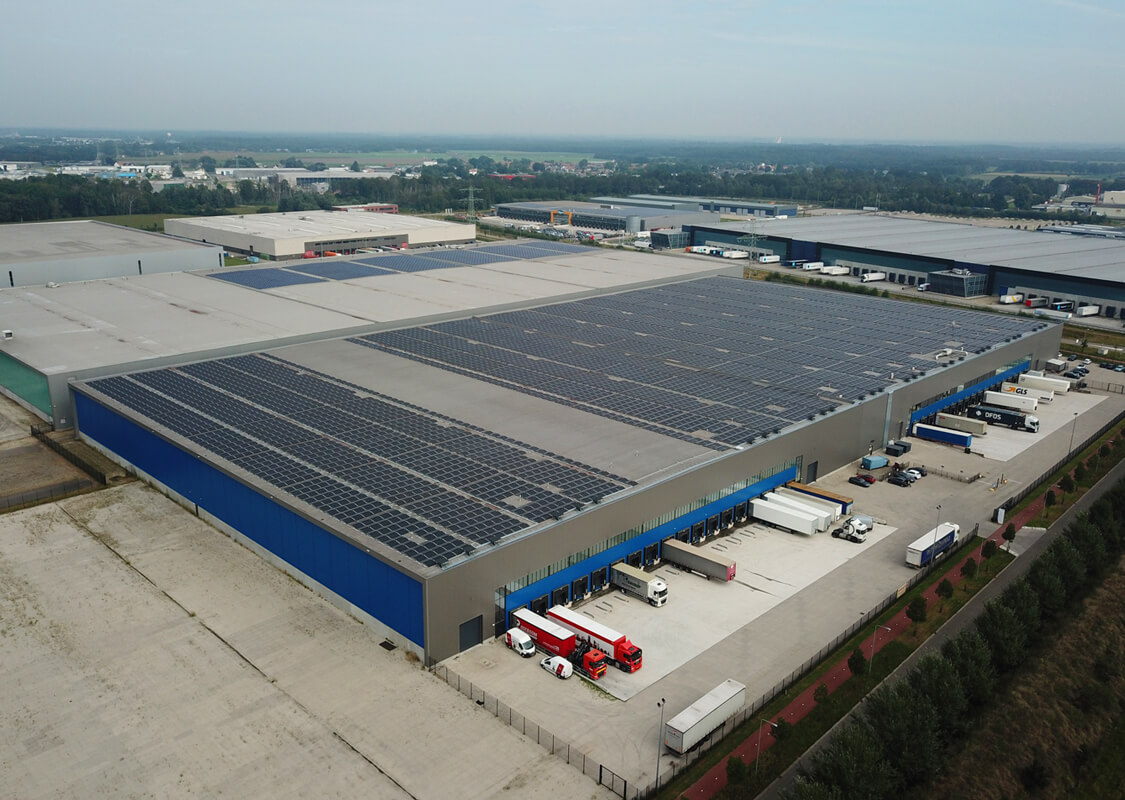 dsg project ceva bell 03