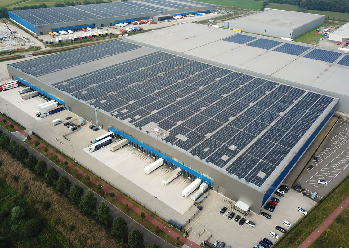 dsg project ceva bell 05