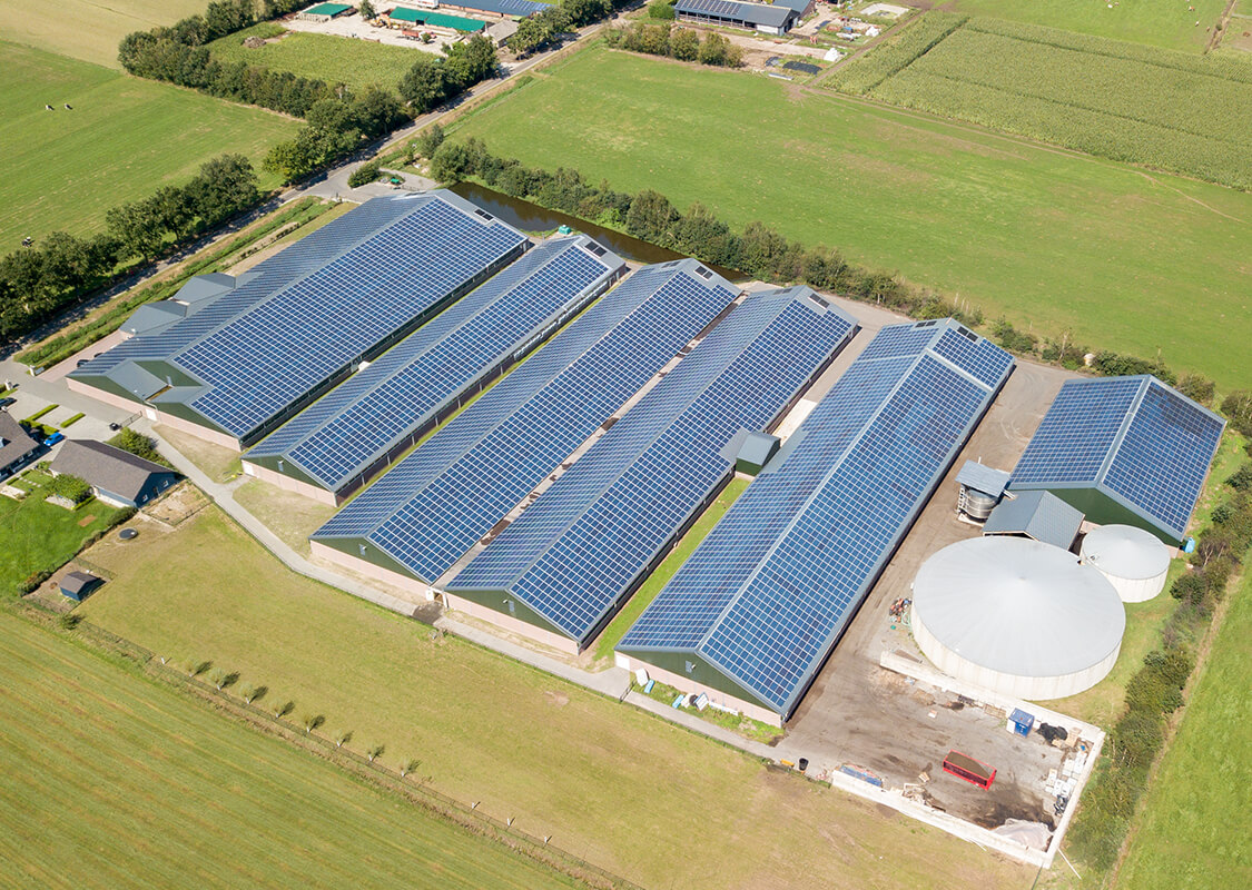 dsg project maatschap verhees 01