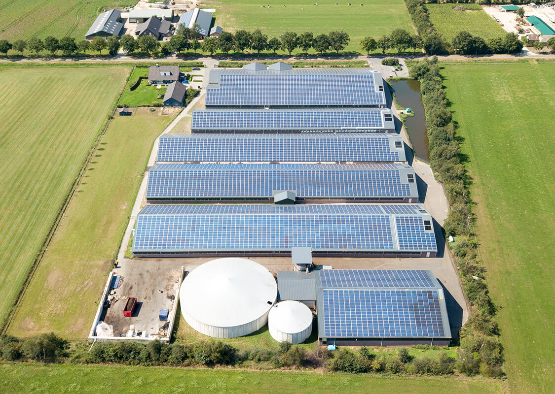 dsg project maatschap verhees 02