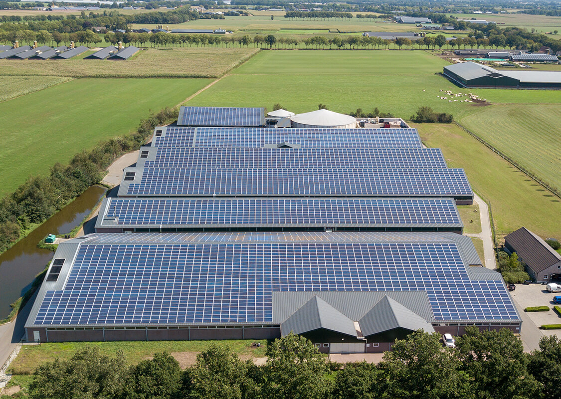dsg project maatschap verhees 04