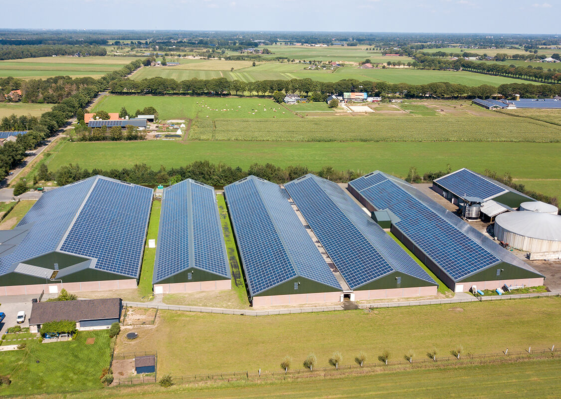 dsg project maatschap verhees 05