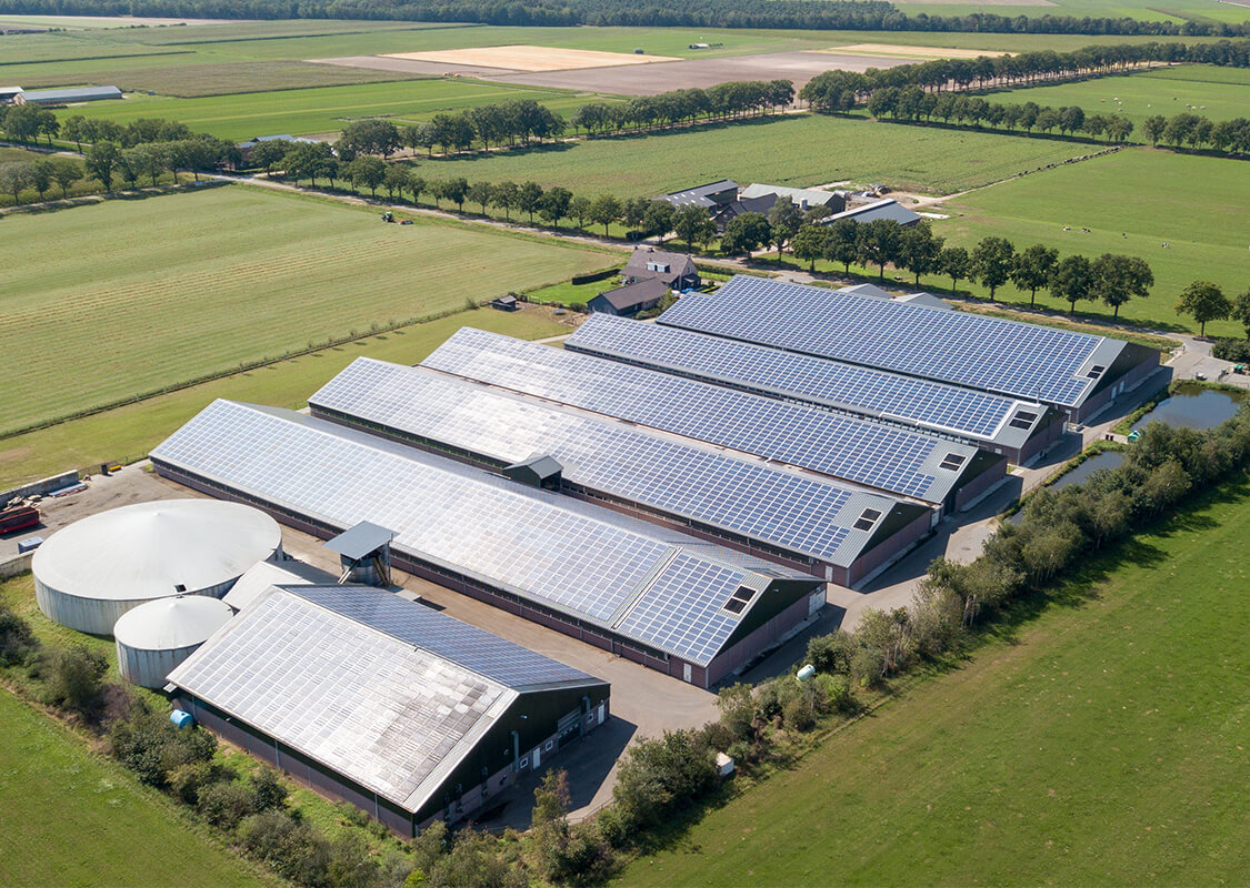 dsg project maatschap verhees 06