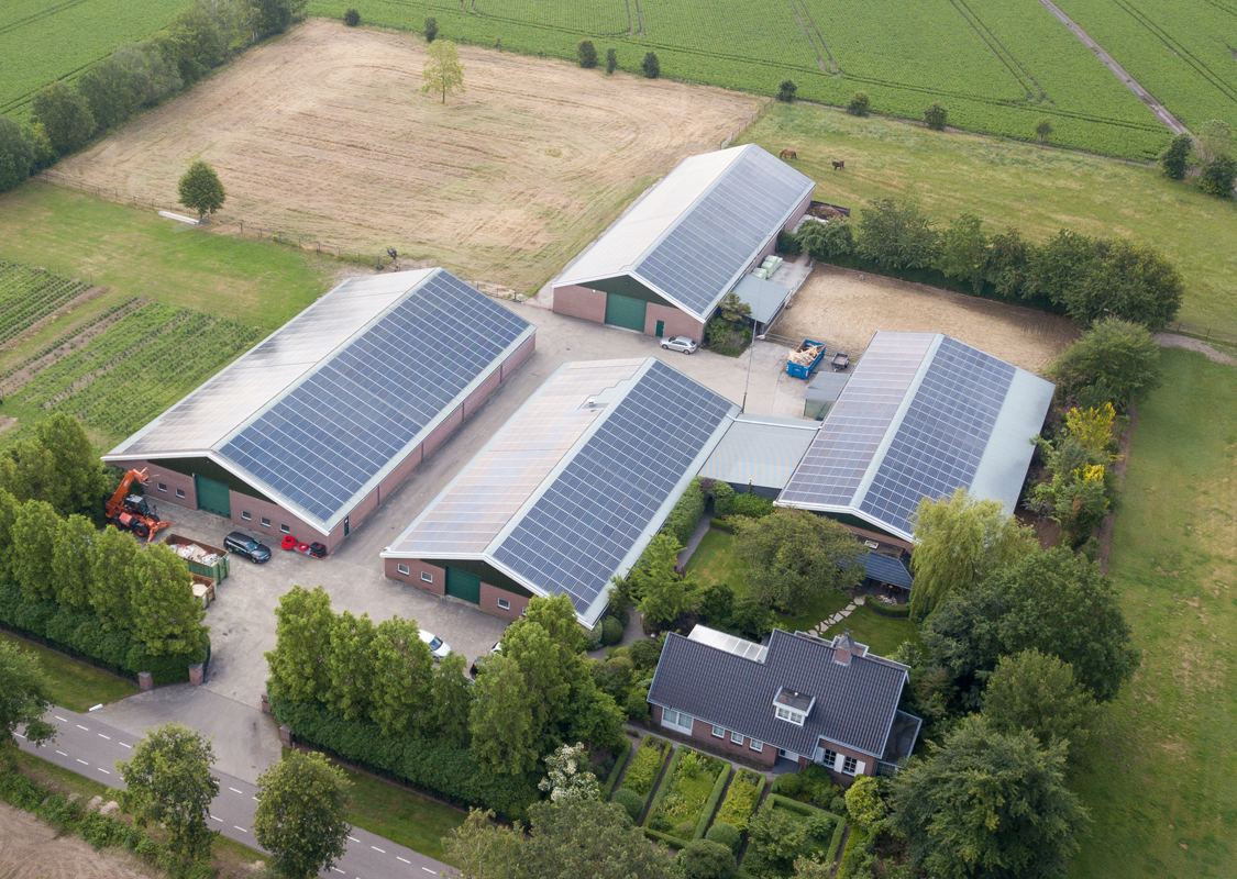 xaam project zonnepanelen dakhuur cardinaal beheer riethoven 04