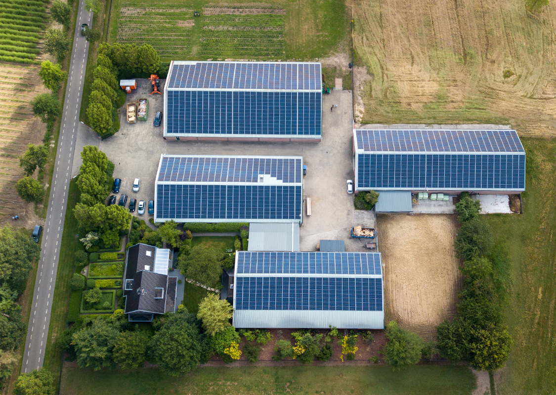 xaam project zonnepanelen dakhuur cardinaal beheer riethoven 05